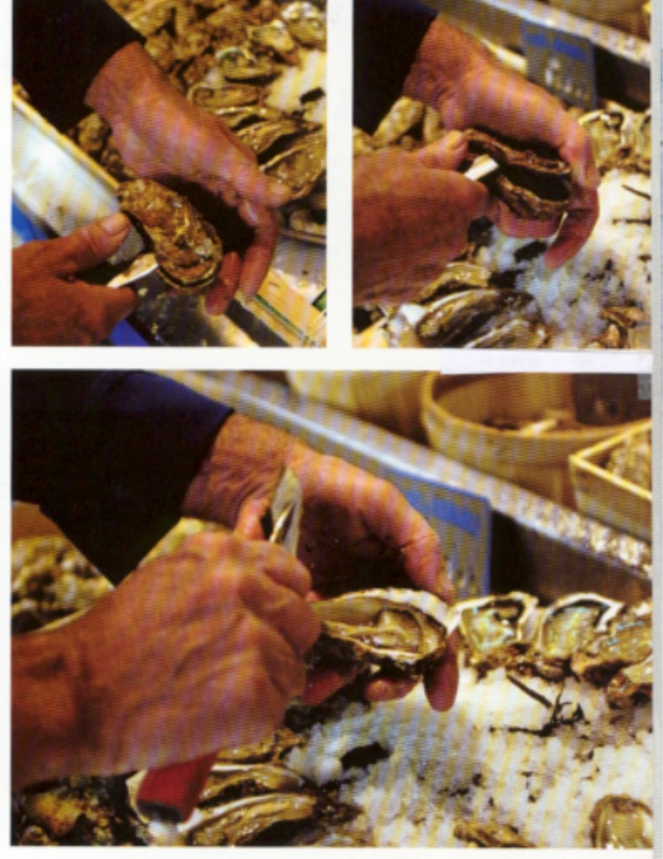 Hands opening oysters with a knife