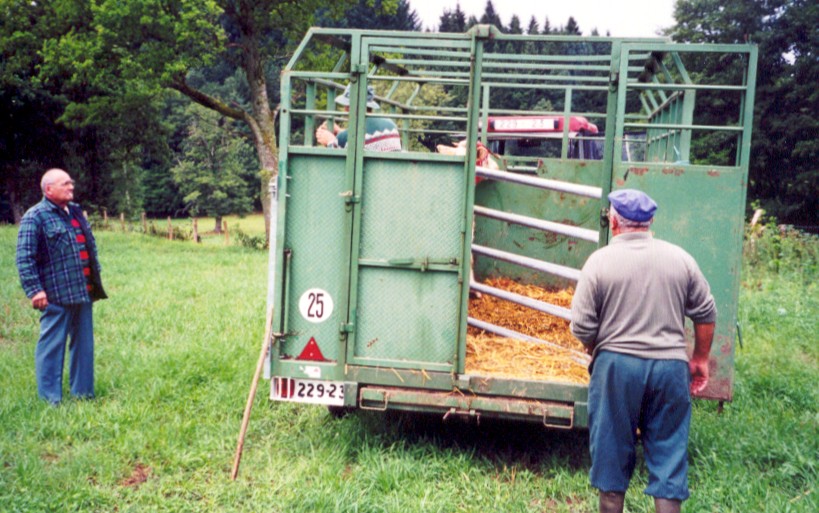 Max (left) advising two farmers during our trip to La Creuse on how to handle a highly-agitated cow which had got separated from the herd. They took...
