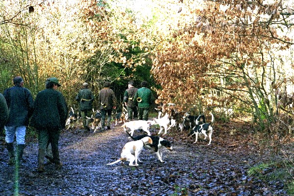 At 10:40 a.m. we moved out. To my relief and astonishment this was to be a hunt without guns.