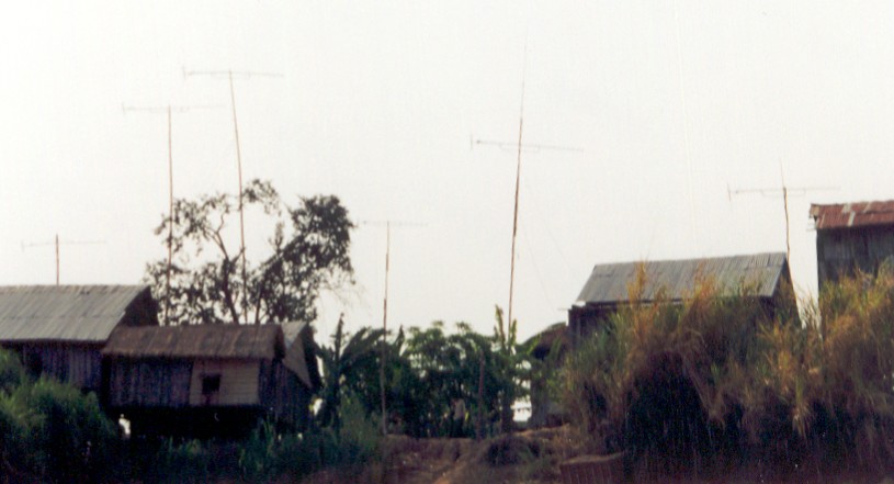 Houses on stilts beside a river
