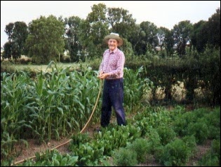 A man in a straw hat watering a vegetable garden