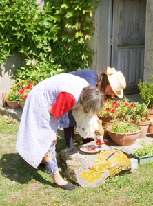 Madame Binon and Claude (hat) bleeding a live rooster into a plate of sliced onion to make a sanguette, a delicacy in the French countryside. Claude...