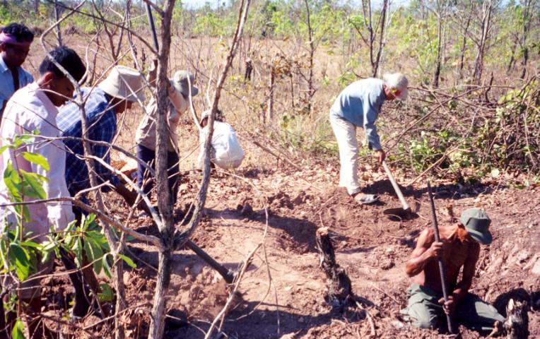 Workers digging at an excavation site among trees