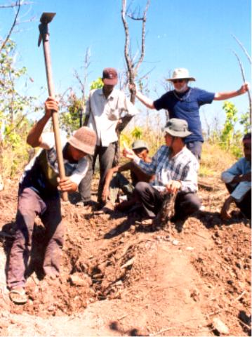 Workers with shovels at an excavation site