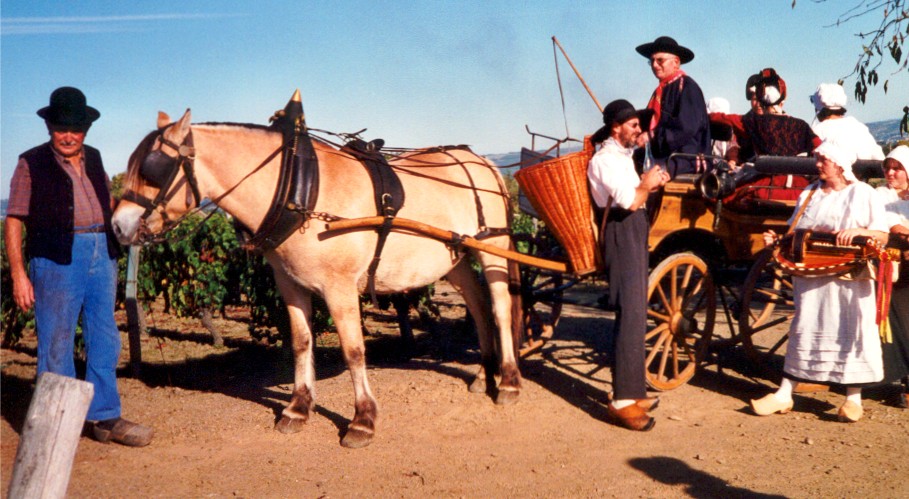 Arriving at the vineyard. Note their wooden shoes, called "sabots." I remember as a kid being intrigued to learn that is where the word "sabotage"...