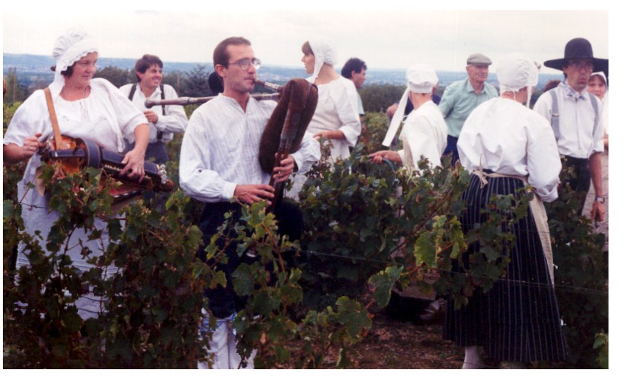 Nothing like a little traditional music to stir you up for the backbreaking labor of harvesting grapes.