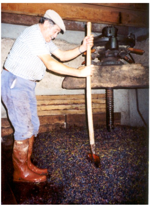 After the harvest, Roland Hugonin prepares his grapes for pressing.